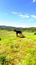 Dmedina3318 profile photo