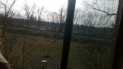 Coady1988 profile photo