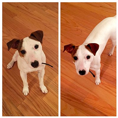 Neild1128 profile photo