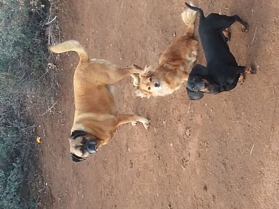 Butlerfive2020 profile photo