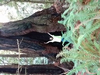 Butlerfive2020 profile photo