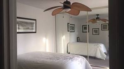 Skucci profile photo