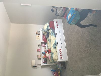 Iriaparadigm profile photo