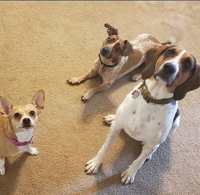 Airstella77 profile photo