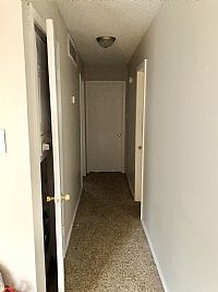 taylortibak profile photo