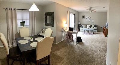 taylortibak profile photo