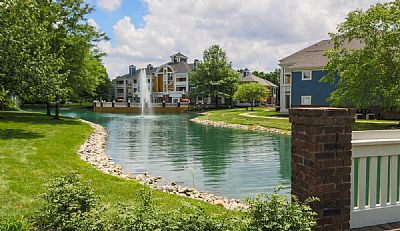 aelghitany profile photo