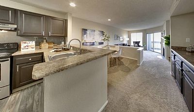 aelghitany profile photo