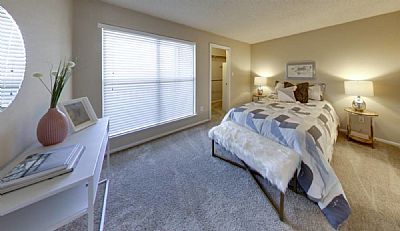 aelghitany profile photo