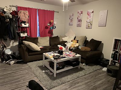 Anjuscha profile photo