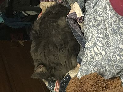 EmilyDart profile photo