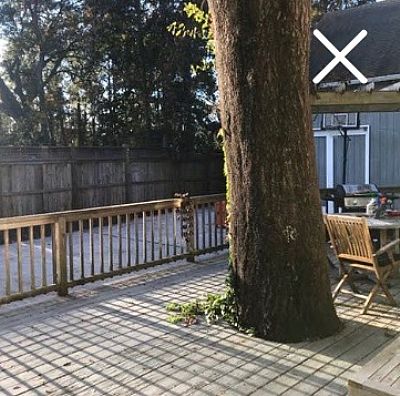 bartosa profile photo