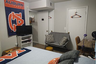 plaidferret profile photo