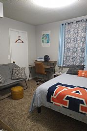 plaidferret profile photo