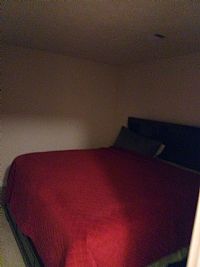 MLHarvey profile photo