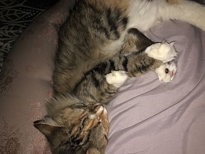 Jenj22 profile photo