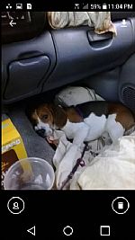 Zapman48 profile photo