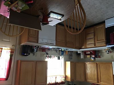 dkfaulkner41 profile photo