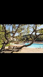 mcochoit profile photo