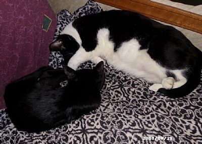 Ozinusa profile photo