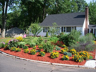 JOETOE profile photo