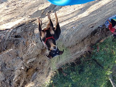 Loren95688 profile photo