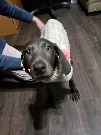 Darkpastels profile photo