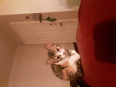 EloraTodd profile photo