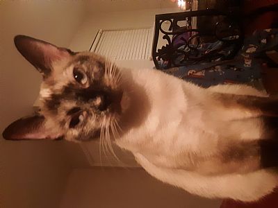 EloraTodd profile photo