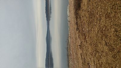 donnieth profile photo