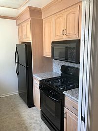 cosmoblosmo profile photo