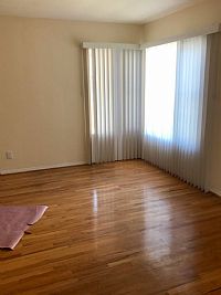 cosmoblosmo profile photo