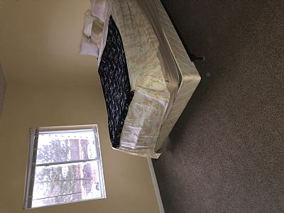 Allison4689 profile photo