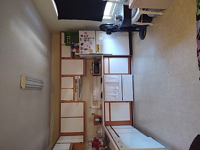 elandman13 profile photo