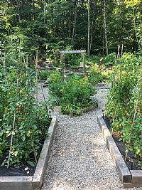 aileennantucket profile photo