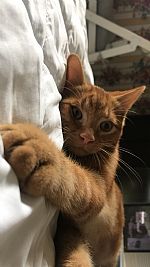 Gsullivan3 profile photo