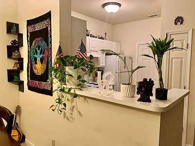 Idealeverything profile photo