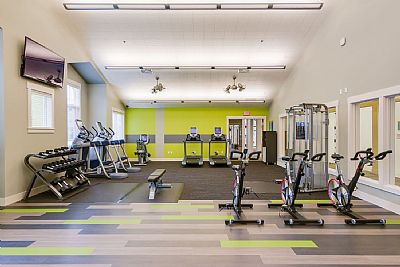 Alicerenee profile photo