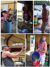 EricTodd profile photo