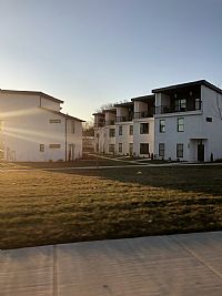 joshuamorris5 profile photo