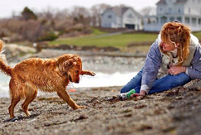 Sunfirerug profile photo