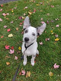 LittleLogan profile photo