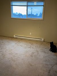 lanaaqilah profile photo