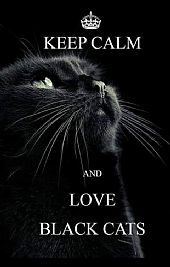 dawnbenchley840 profile photo