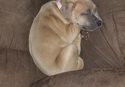 Barefoot writer profile photo