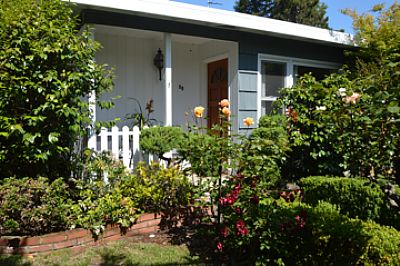 tomsoltesz profile photo