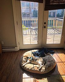 Decater profile photo