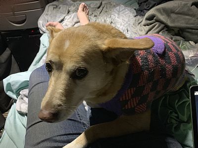 DaniBri profile photo