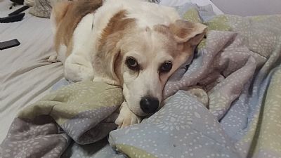 johnnyShorts profile photo