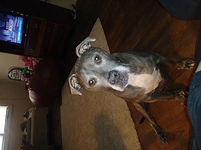 MichelleSanders profile photo